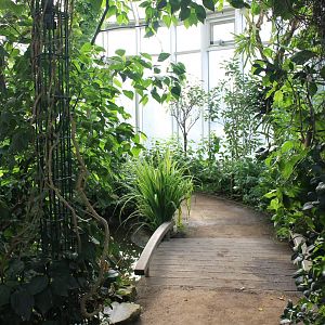 View into the Butterfly-hall