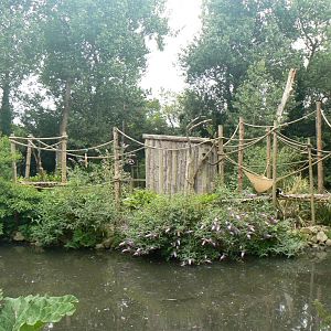 Ruffed Lemur Island - 11 July 2018