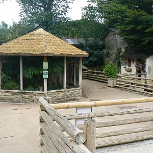 VIew of 'Village Farm' - 11 July 2018