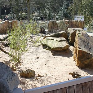 Meerkat out-door enclosure