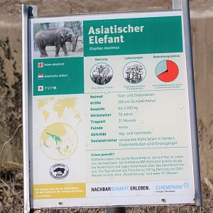 Sign Asian elephant