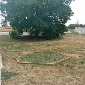 Hexagon exhibit? - 17 July 2018