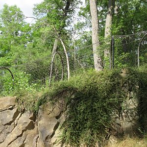 Realm of the Tiger - Connecting Tunnel