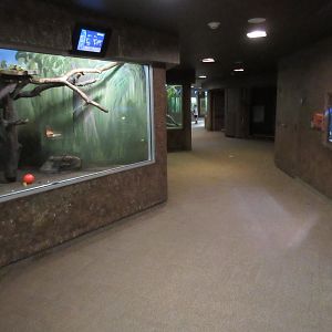 Natural Treasures Building