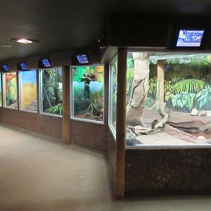 Natural Treasures Building