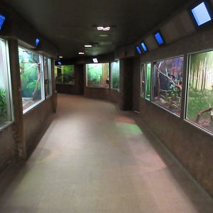 Natural Treasures Building