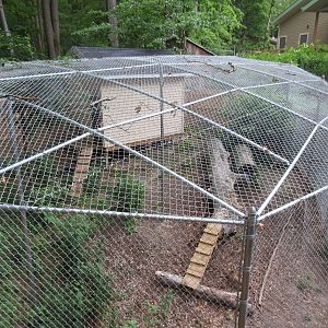 Bobcat Exhibit (Aerial View)