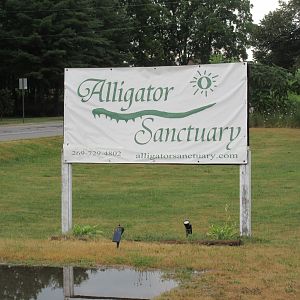 Entrance Sign
