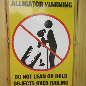 American Alligator Exhibit - Sign
