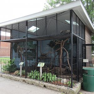 North American Porcupine Exhibit