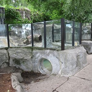 North American River Otter Exhibit