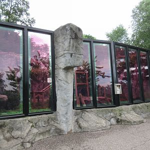 Cougar Exhibit (with red tinted windows)