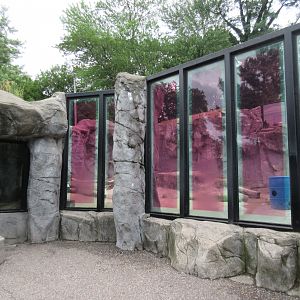 Grizzly Bear Exhibit (with red tinted windows)