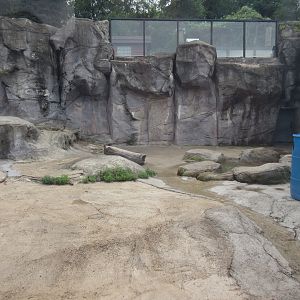 Grizzly Bear Exhibit