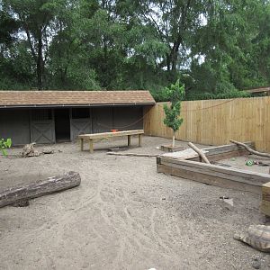 Sulcata Tortoise Exhibit