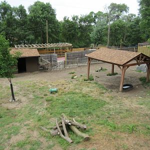 Bennett's Wallaby/Emu Exhibit