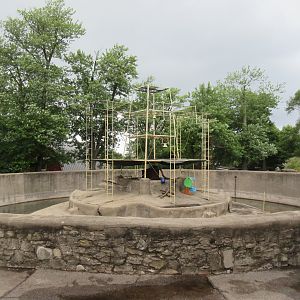 1930s-era Ring-tailed Lemur Exhibit