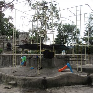 1930s-era Ring-tailed Lemur Exhibit
