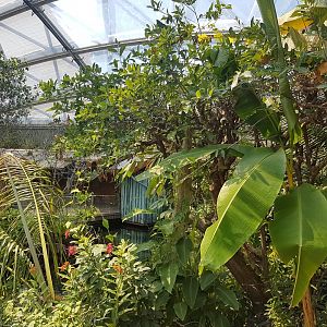 View into the Mangrove-hall