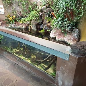 Aquarium in the Bird-house