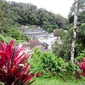 Puncak Inn (taken from Shahzan Inn