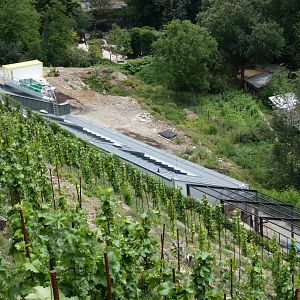 New Parrot House (Rakos Pavilion)