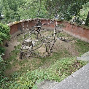 North American Tree Porcupine and Woodchuck enclosure