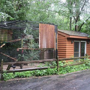 Turkey Vulture Exhibit