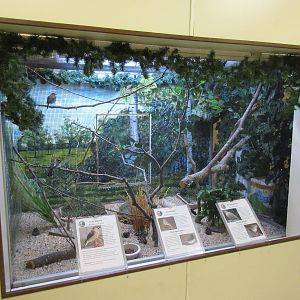 Jewel-Box Aviary