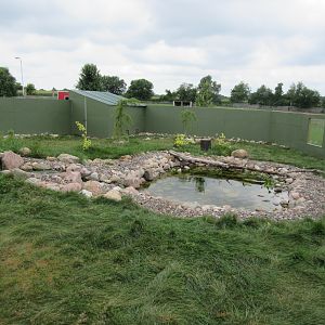 North American River Otter Exhibit