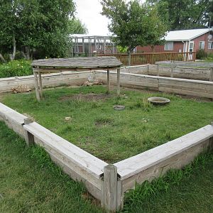 Sulcata Tortoise Exhibit