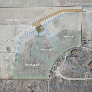 Future Plans - Canids