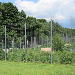 Typical Tiger Exhibit
