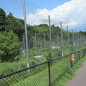 Row of Tiger Exhibits