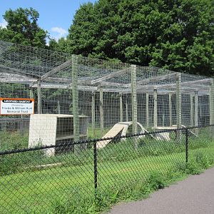 1st Half of Leopard Exhibit