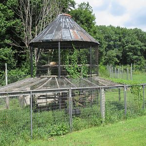 2nd Half of Leopard Exhibit
