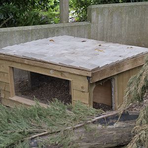 A new hutch for Bruce