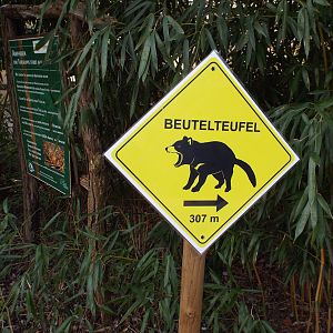 Signage example for Tasmanian Devil