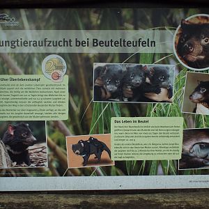 Signage example for Tasmanian Devil