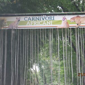 Entrance to Carnivore Area