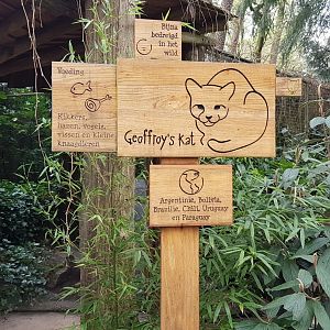 Sign Geoffroy's cat