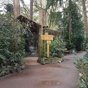 Enclosure Geoffroy's cat