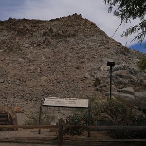 Bighorn Mountain - My First US Zoo Trip