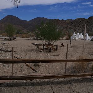 Peninsular Pronghorn Exhibit - My First US Zoo Trip