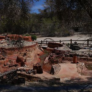 G-Scale Model Train Display - My First US Zoo Trip