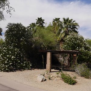 North American Garden - My First US Zoo Trip