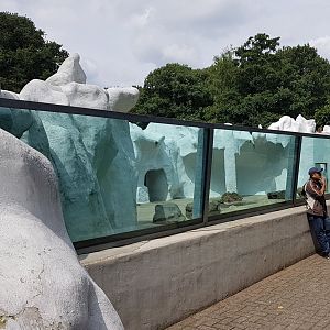 Second Polar bear-enclosure