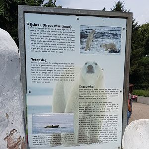Sign Polar bear