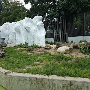 Part second Polar bear enclosure