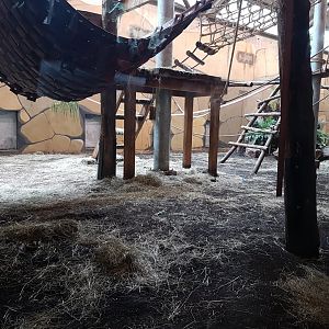 View into the Gorilla - Meerkat indoor-enclosure